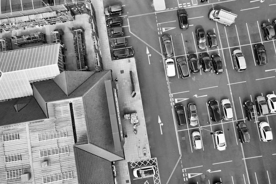 An aerial view of a large parking lot filled with numerous parked cars arranged in neat rows, with clear white lines marking each parking space. The lot has some empty spaces, and cars of various sizes and models are parked throughout. A white van is visible near the edge of the lot, close to a pedestrian crossing marked by white stripes on the road. Surrounding the parking area are trees with bare branches, casting shadows on the ground, and a building with modern architecture is visible at the top right of the image. The scene is captured in daytime with natural lighting, showing an organized environment suitable for vehicle parking, relevant to home and business relocations that involve parking logistics, and is associated with professional removals services like those offered by Man with Van Crossness.